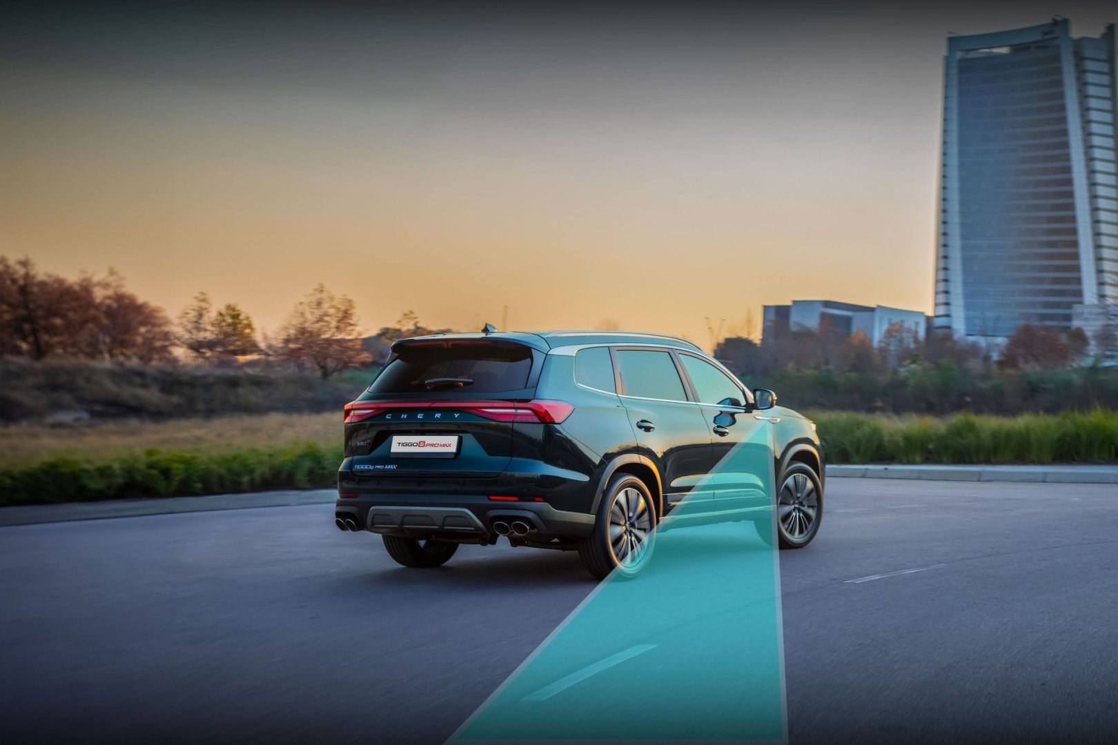 СОҚЫР АЙМАҚТАРДЫ БАҚЫЛАУ